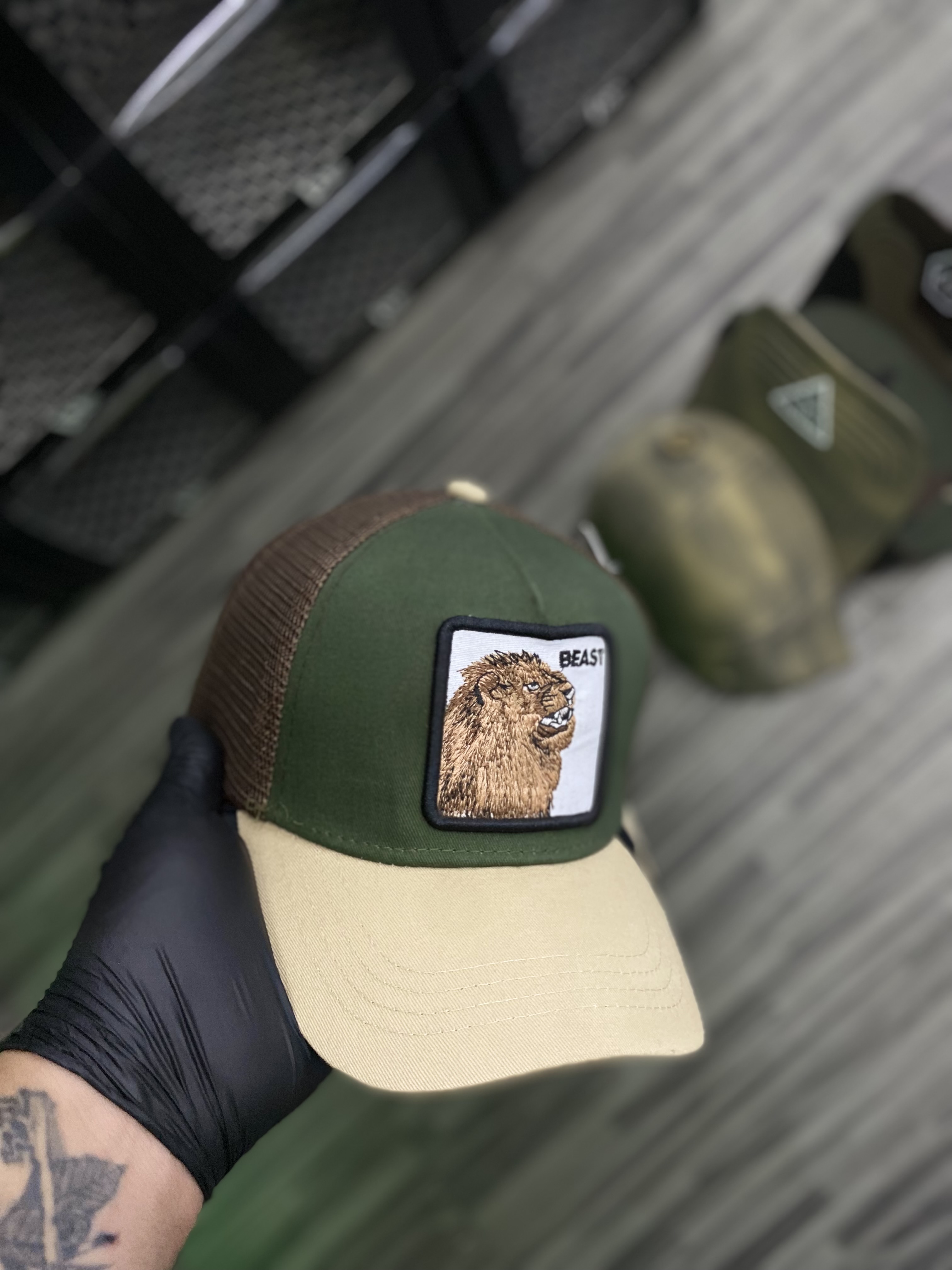 Gorra AAA goorin bros león 